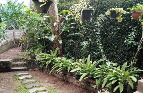 Wanchawala Villa | The Nature with nature