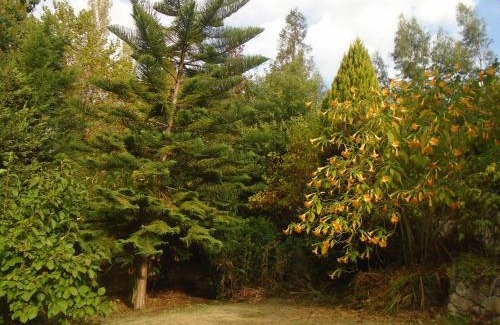 Sever do Vouga Villa | the nest ~ Your best rest