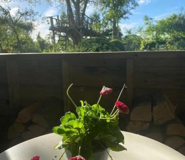 Ashford House | The Nutshell. Rural retreat