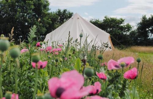 Colkirk Other | The Oaks Tent Pitches with no accommodation supplied and you must bring your own tent