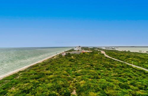 Miramar Apartment | The Ocean Breeze Retreat