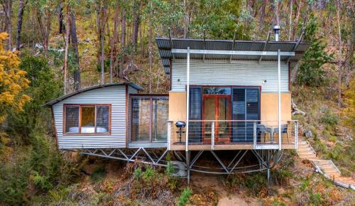 Bright Cabin | The Odd Frog