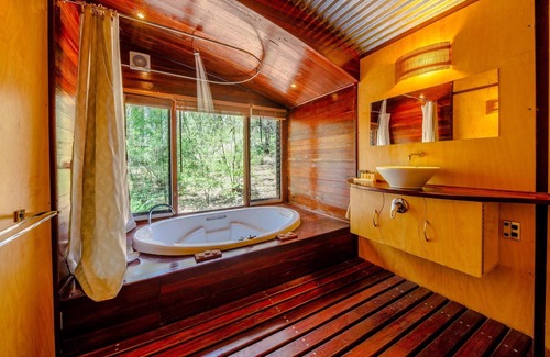 Bright Cabin | The Odd Frog