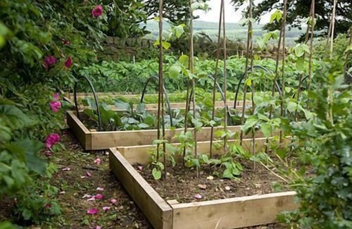 Hexham Cottage | The Old Byre self-catering cottage