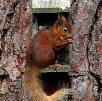 Totland Bay House | The Old Kitchens