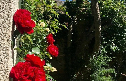 Barnard Castle Hotel | The Old Well Inn