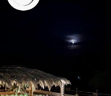 Al Ain House | The Palme Resort