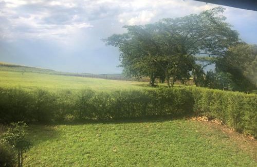 Mid Illovo House | The Pastures