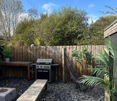 New Forest District Ski Chalet | The Pinewood Cabin With Firepit & BBQ