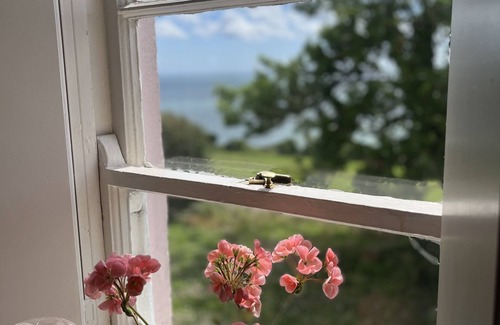 Carrickfergus Cottage | The Pink Cottage Upstairs Suite and Secret Garden. beautiful walks & sea view.