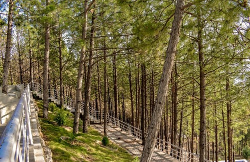 Abbottabad Hotel | The Point by Roomy, Thandiani