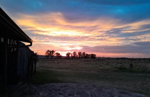Grahamstown Cabin | The Ranch House at African Safari Lodge