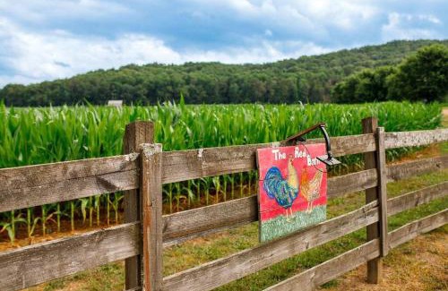 Cave Spring House | The Red Barn