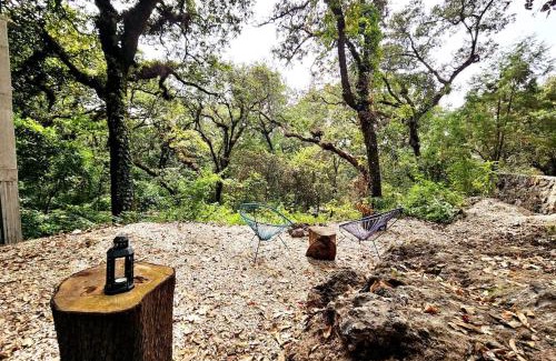 Tepoztlan House | The Red Cabin at the bottom of Tepoztlán's Forest