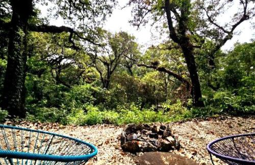Tepoztlan House | The Red Cabin at the bottom of Tepoztlán's Forest
