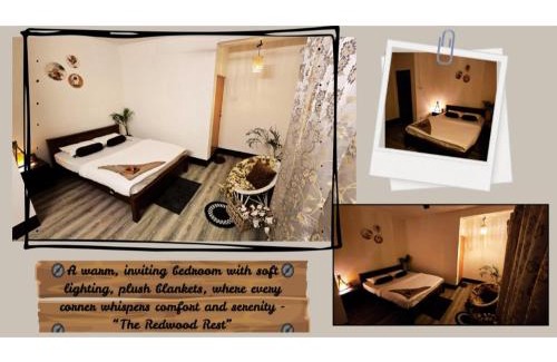 Shillong Apartment | The Redwood Rest