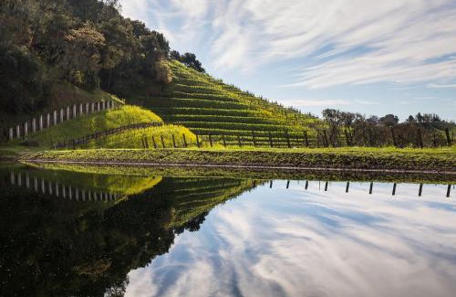 Geyserville Villa | The Residence at Skipstone