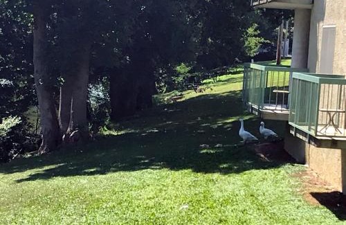 Pigeon Forge Apartment | The River Cottage