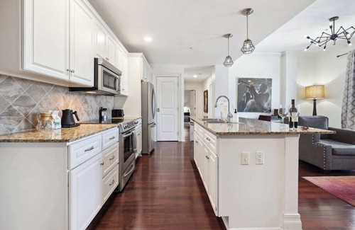 Fayetteville Condo | The Ruby - Condo on Dickson St - Walk to UofA