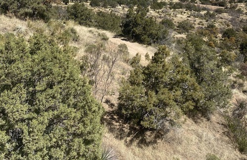 Tombstone Cabin | The Rustic Cabin