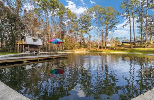 Edgar Apartment | The Safari Room at the Great Lodge