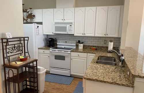 Suwannee Condo | The Salty Snook in Suwannee, FL BEST LOCATION in Complex with Private Boat Slip!