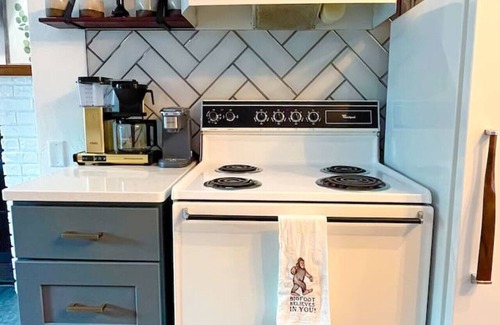 Mountain Cabin | The Sasquatch Shores Lake Front Cabin