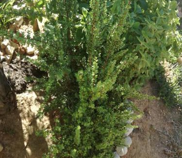 De Rust Apartment | The Skilpad Doppie