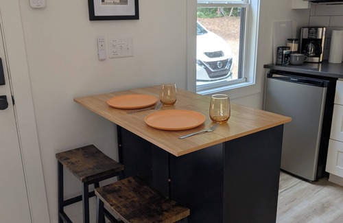 Southeast Raleigh Apartment | The Skulltimate Stay - Fire Pit & EV Charger!