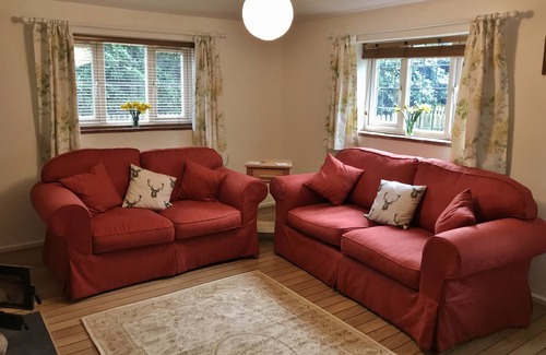 New Forest District Cottage | The Squirrels is a charming detached cottage in the New Forest National Park