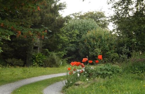 Llandysul Bed & Breakfast | The Swallows Guest House