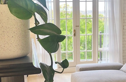 Trawool Hotel | The Trawool Estate