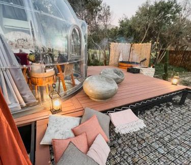 Franschhoek House | The Vino Dome By Once Upon A Dome Franschhoek