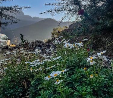 Banjar House | The VOID - Tirthan Valley