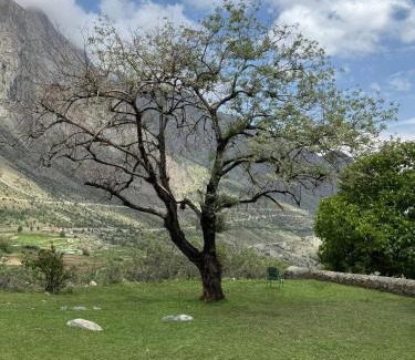 Naltar Valley Other | The Walnut Tree Lodge, Naltar