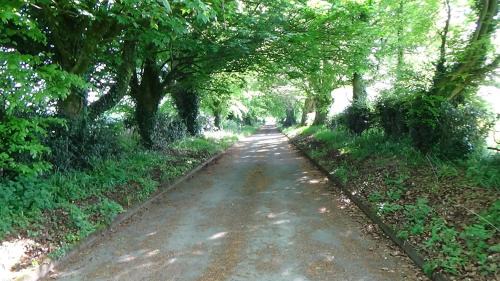 Dungannon House | The Weaver's Cottage