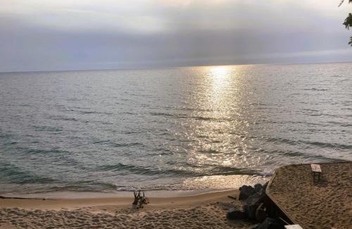 Arcadia House | The Wee Cabbage