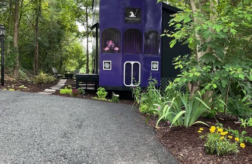 Kodak House | The Wizard's Trolley of the Forgotten Forest