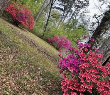 Fluker Villa | The Woods Camp on the River