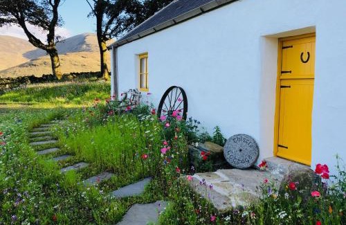 Newry House | Thistle Thatch Cottage and Hot Tub - Mourne Mountains