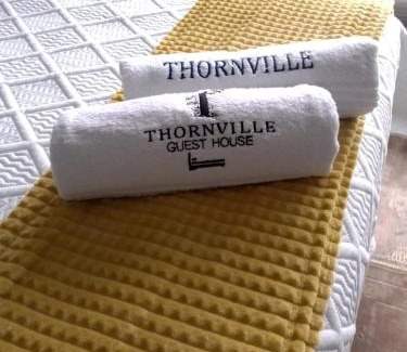 Merrivale Apartment | Thornville Guesthouse Gold