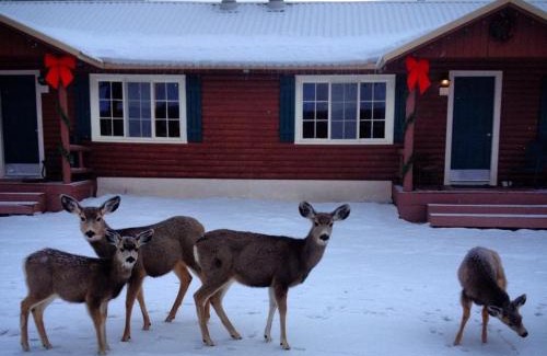 Red River Hotel | Three Bears Lodge