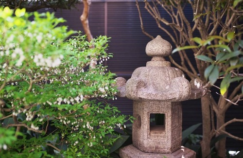 Nishijin Apartment | Three-Bedroom Villa