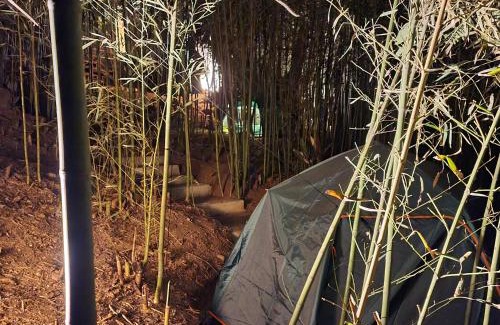 Fianarantsoa House | Three Palms Fianar