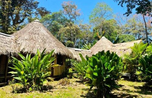 Puerto Viejo de Talamanca House | Tiki-Ti Tahitian Style Bungalows