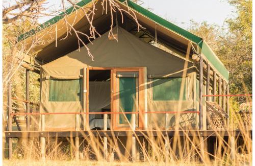 Thorny Bush Game Reserve Cabin | Timbavati Safari Lodge