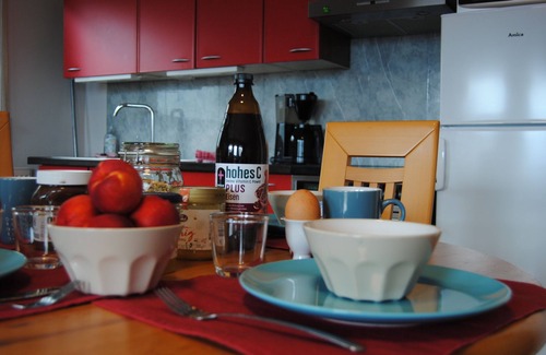 Hackenheim Apartment | Time out in the Rheinhessen vineyards