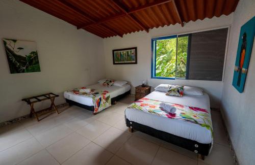 Manizales Hotel | Tinamú Birding and Nature Lodge