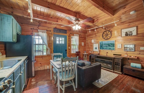 Mineral Bluff Cabin | Tiny cabin next to a small farm-fire pit, hot tub, grill, disc golf, cornhole