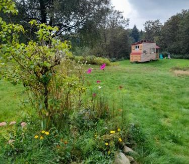 Beulotte-Saint-Laurent Other | Tiny des Rêves